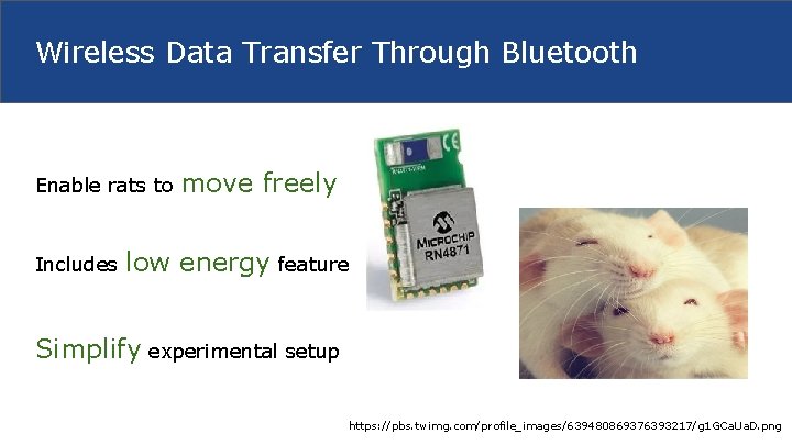 Wireless Data Transfer Through Bluetooth Enable rats to Includes move freely low energy feature