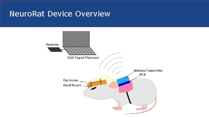Neuro. Rat Device Overview 