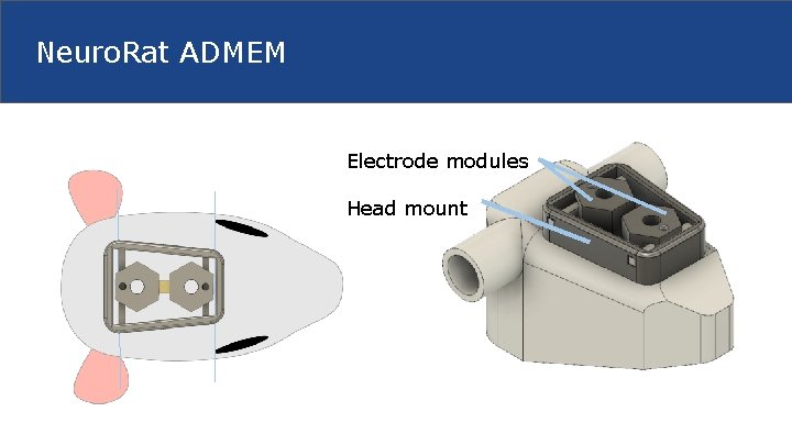 Neuro. Rat ADMEM Electrode modules Head mount 