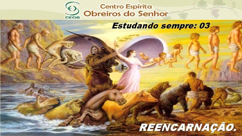 Estudando sempre: 03 REENCARNAÇÃO. 