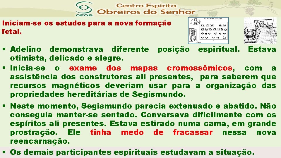 Iniciam-se os estudos para a nova formação fetal. § Adelino demonstrava diferente posição espiritual.