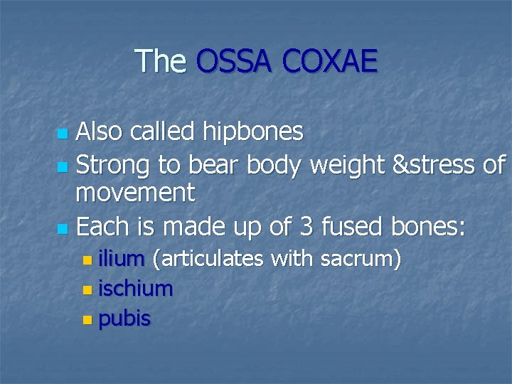 The OSSA COXAE Also called hipbones n Strong to bear body weight &stress of