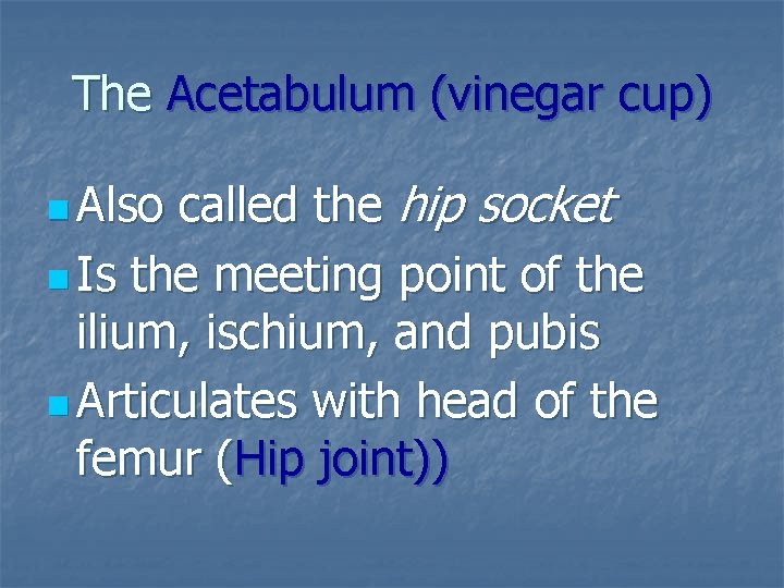 The Acetabulum (vinegar cup) called the hip socket n Is the meeting point of