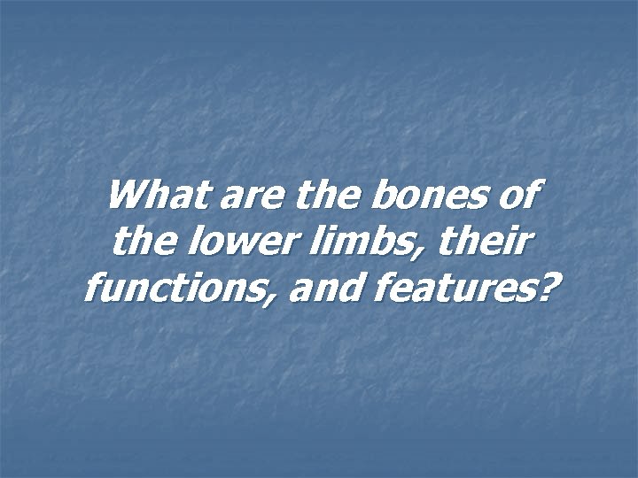 What are the bones of the lower limbs, their functions, and features? 