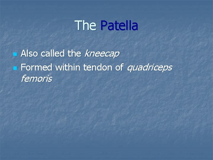 The Patella n n Also called the kneecap Formed within tendon of quadriceps femoris