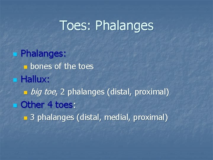 Toes: Phalanges n Phalanges: n n Hallux: n n bones of the toes big
