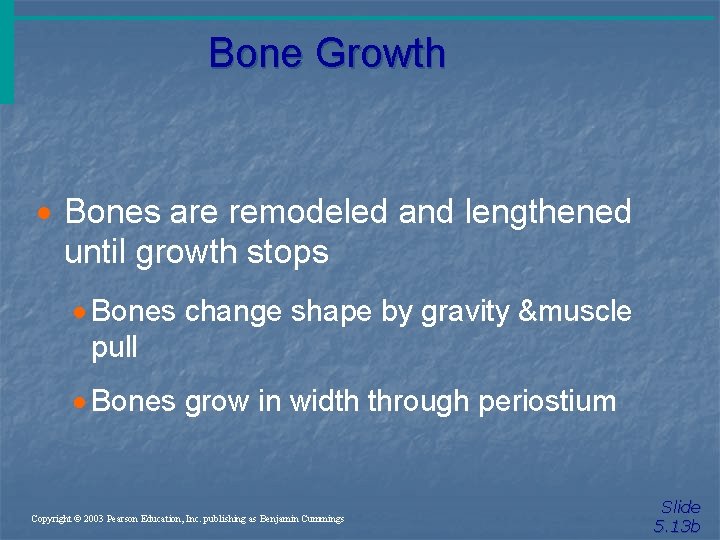 Bone Growth · Bones are remodeled and lengthened until growth stops · Bones change