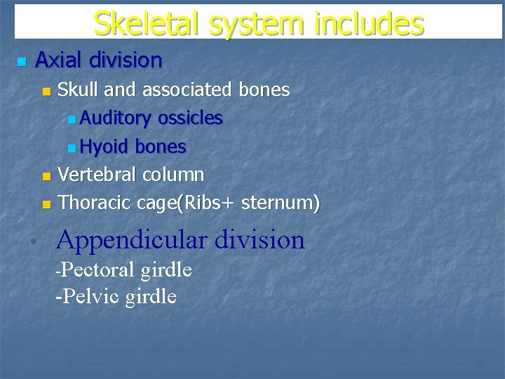 Skeletal system includes n Axial division Skull and associated bones n Auditory ossicles n