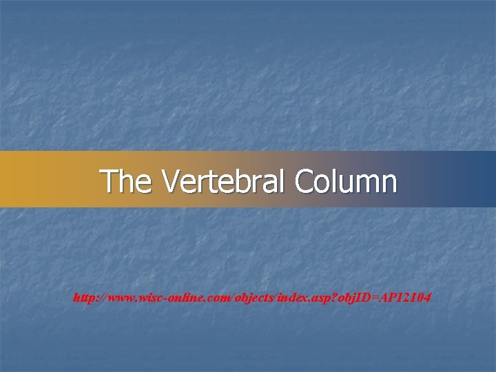 The Vertebral Column http: //www. wisc-online. com/objects/index. asp? obj. ID=AP 12104 