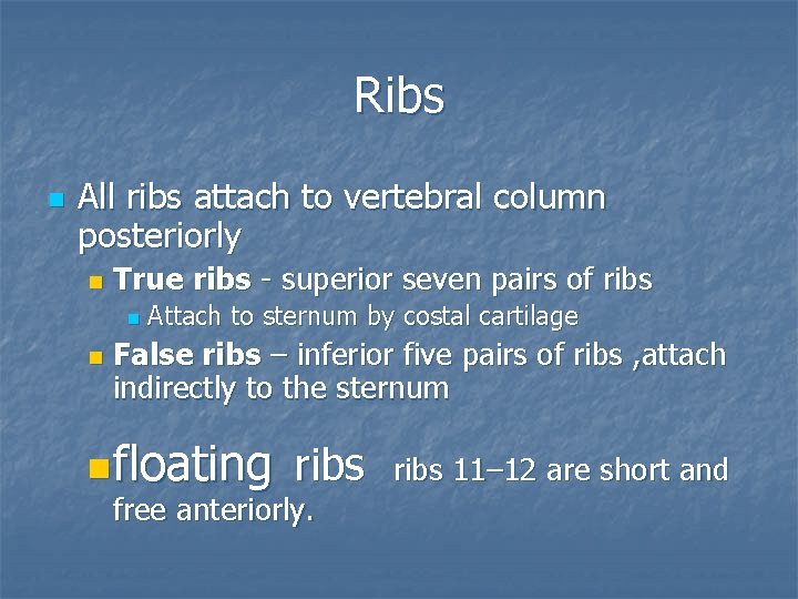 Ribs n All ribs attach to vertebral column posteriorly n True ribs - superior