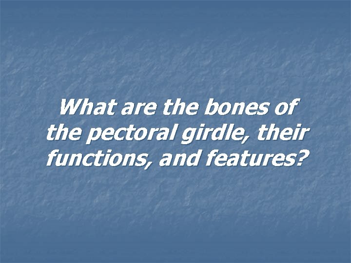 What are the bones of the pectoral girdle, their functions, and features? 