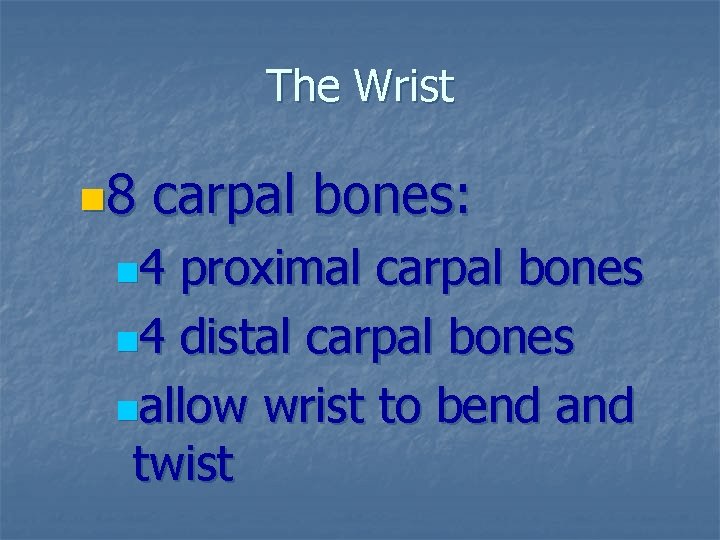 The Wrist n 8 carpal bones: n 4 proximal carpal bones n 4 distal