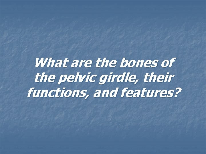 What are the bones of the pelvic girdle, their functions, and features? 
