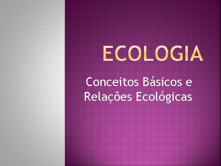 Conceitos Básicos e Relações Ecológicas 