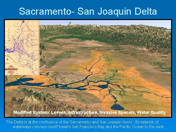 Sacramento- San Joaquin Delta Modified System: Levees, Infrastructure, Invasive Species, Water Quality The Delta