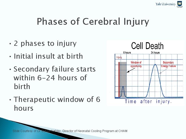 Phases of Cerebral Injury • 2 phases to injury • Initial insult at birth
