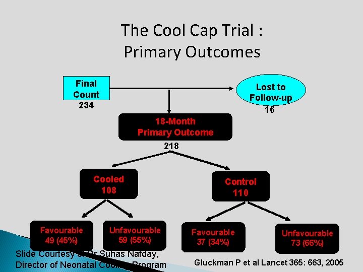 The Cool Cap Trial : Primary Outcomes Final Count 234 Lost to Follow-up 16