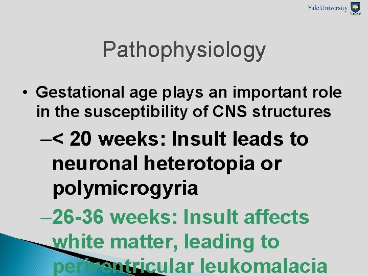 Pathophysiology • Gestational age plays an important role in the susceptibility of CNS structures