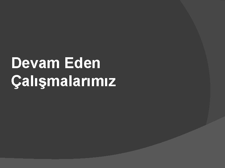 Devam Eden Çalışmalarımız 