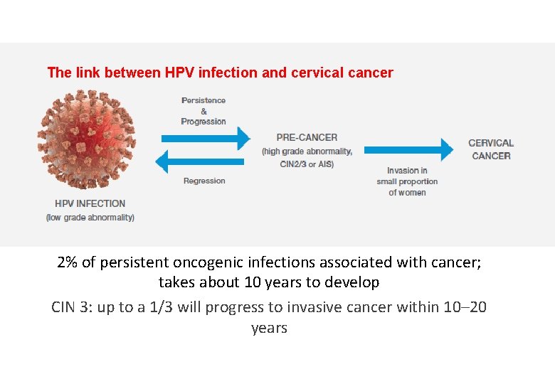 The link between HPV infection and cervical cancer 2% of persistent oncogenic infections associated