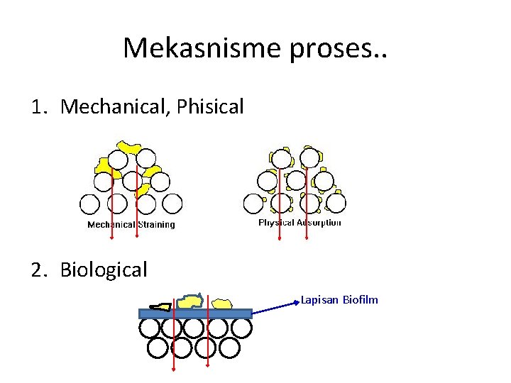 Mekasnisme proses. . 1. Mechanical, Phisical 2. Biological Lapisan Biofilm 