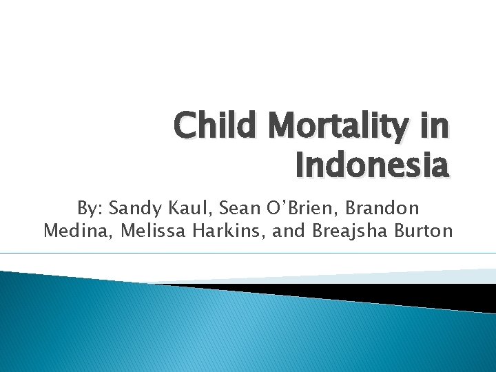 Child Mortality in Indonesia By: Sandy Kaul, Sean O’Brien, Brandon Medina, Melissa Harkins, and