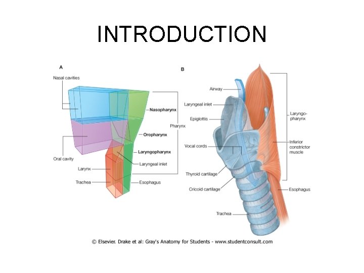 INTRODUCTION 