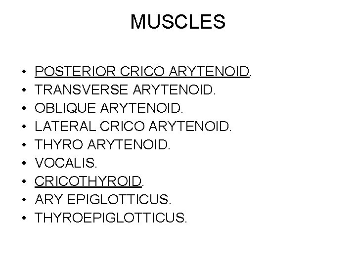 MUSCLES • • • POSTERIOR CRICO ARYTENOID. TRANSVERSE ARYTENOID. OBLIQUE ARYTENOID. LATERAL CRICO ARYTENOID.