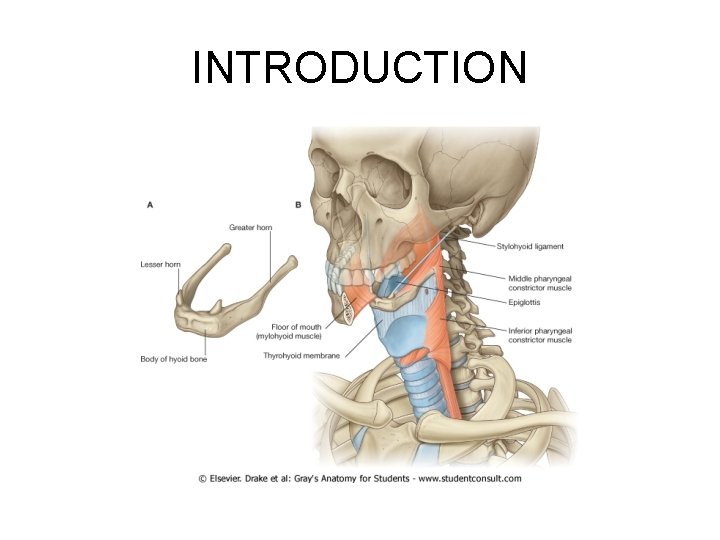 INTRODUCTION 