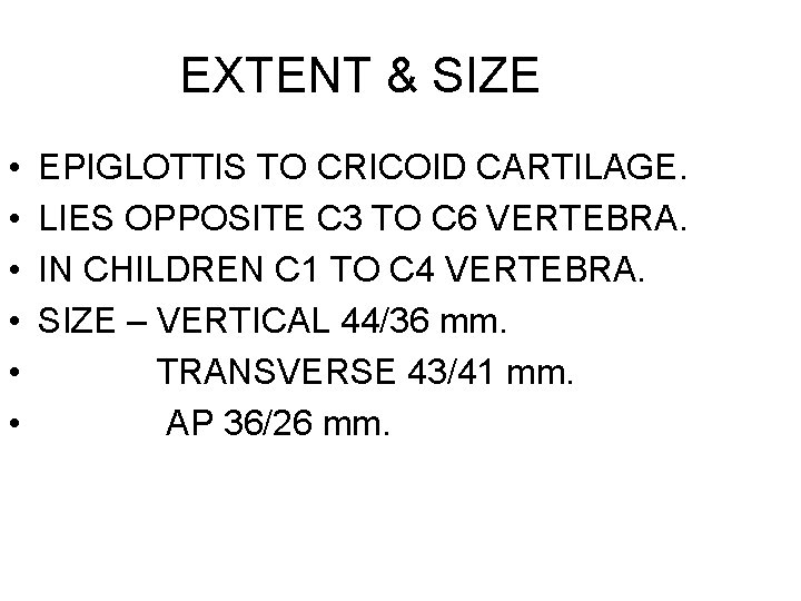 EXTENT & SIZE • • • EPIGLOTTIS TO CRICOID CARTILAGE. LIES OPPOSITE C 3