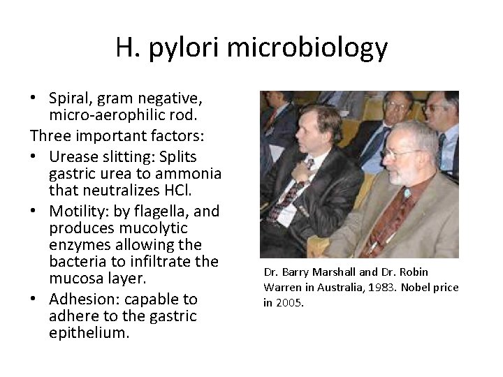 H. pylori microbiology • Spiral, gram negative, micro-aerophilic rod. Three important factors: • Urease H. pylori microbiology • Spiral, gram negative, micro-aerophilic rod. Three important factors: • Urease