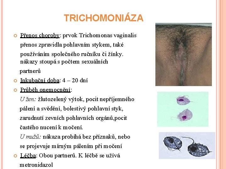 TRICHOMONIÁZA Přenos choroby: prvok Trichomonas vaginalis přenos zpravidla pohlavním stykem, také používáním společného ručníku