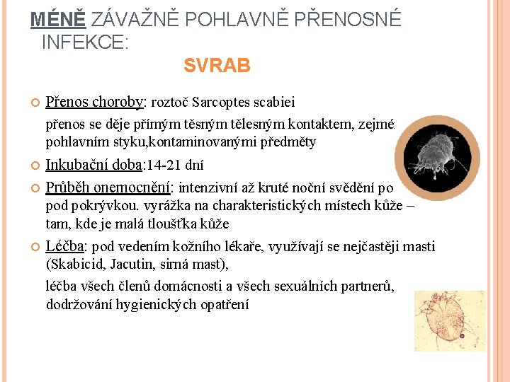 MÉNĚ ZÁVAŽNĚ POHLAVNĚ PŘENOSNÉ INFEKCE: SVRAB Přenos choroby: roztoč Sarcoptes scabiei přenos se děje