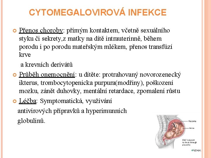  CYTOMEGALOVIROVÁ INFEKCE Přenos choroby: přímým kontaktem, včetně sexuálního styku či sekrety, z matky