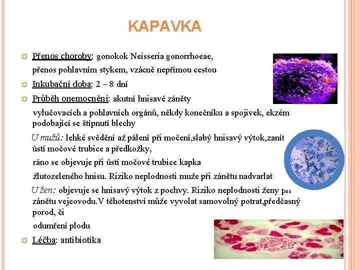 KAPAVKA Přenos choroby: gonokok Neisseria gonorrhoeae, přenos pohlavním stykem, vzácně nepřímou cestou Inkubační doba: