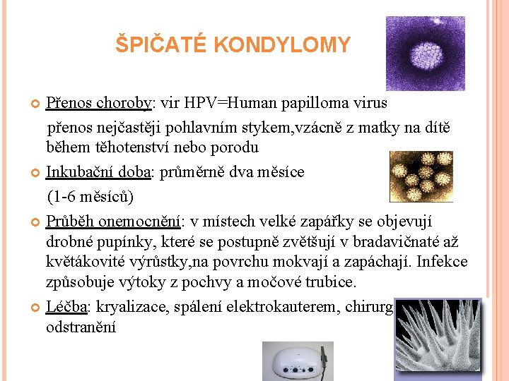 ŠPIČATÉ KONDYLOMY Přenos choroby: vir HPV=Human papilloma virus přenos nejčastěji pohlavním stykem, vzácně z