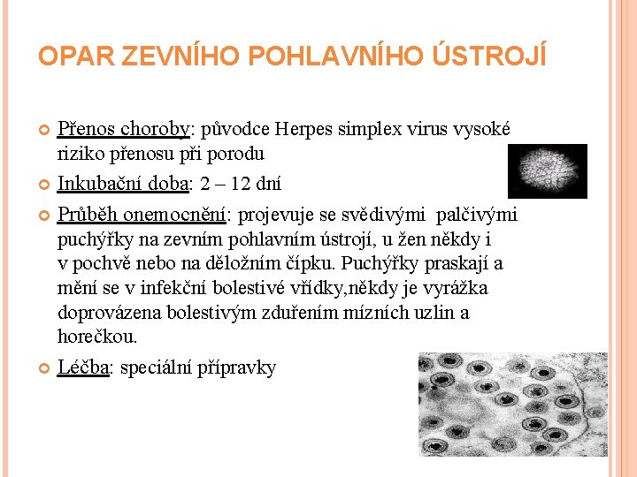 OPAR ZEVNÍHO POHLAVNÍHO ÚSTROJÍ Přenos choroby: původce Herpes simplex virus vysoké riziko přenosu při