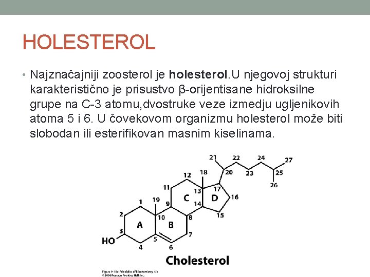 HOLESTEROL • Najznačajniji zoosterol je holesterol. U njegovoj strukturi karakteristično je prisustvo β-orijentisane hidroksilne