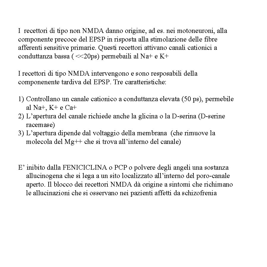 I recettori di tipo non NMDA danno origine, ad es. nei motoneuroni, alla componente