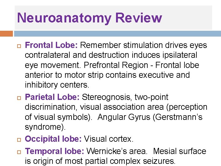 Neuroanatomy Review Frontal Lobe: Remember stimulation drives eyes contralateral and destruction induces ipsilateral eye Neuroanatomy Review Frontal Lobe: Remember stimulation drives eyes contralateral and destruction induces ipsilateral eye