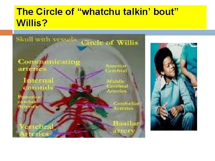 The Circle of “whatchu talkin’ bout” Willis? The Circle of “whatchu talkin’ bout” Willis?