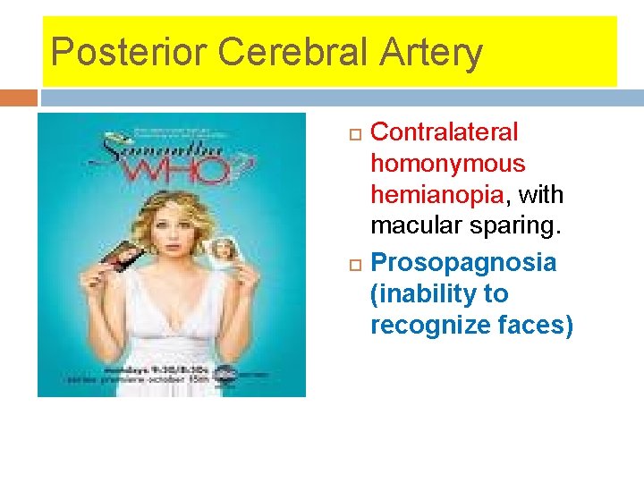 Posterior Cerebral Artery Contralateral homonymous hemianopia, with macular sparing. Prosopagnosia (inability to recognize faces) Posterior Cerebral Artery Contralateral homonymous hemianopia, with macular sparing. Prosopagnosia (inability to recognize faces)