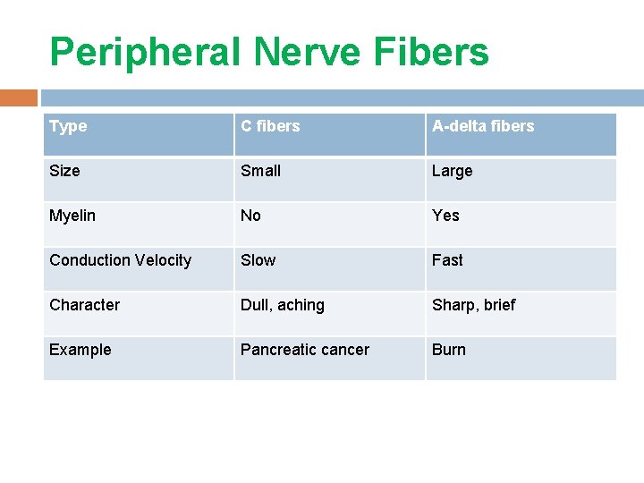 Peripheral Nerve Fibers Type C fibers A-delta fibers Size Small Large Myelin No Yes Peripheral Nerve Fibers Type C fibers A-delta fibers Size Small Large Myelin No Yes