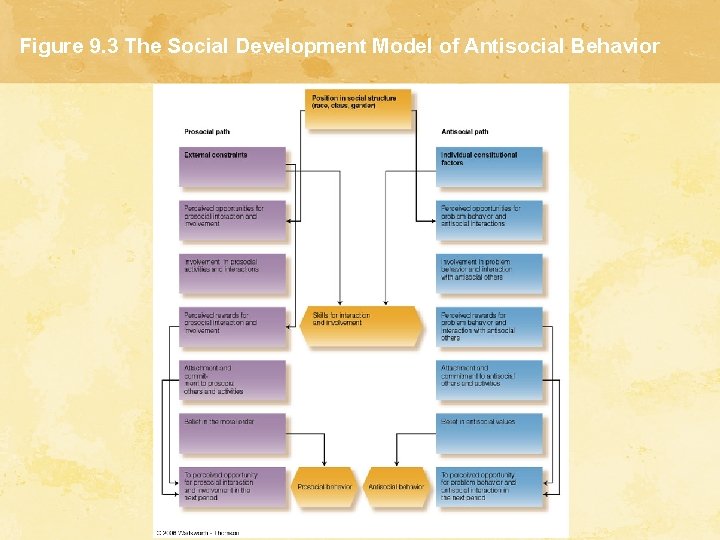 Figure 9. 3 The Social Development Model of Antisocial Behavior 