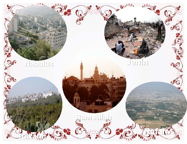 Jenin Nabulus Ram Allah Tulkarm Rafah Jenin Nabulus Ram Allah Tulkarm Rafah