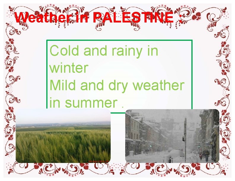 Weather in PALESTINE : Cold and rainy in winter Mild and dry weather in Weather in PALESTINE : Cold and rainy in winter Mild and dry weather in