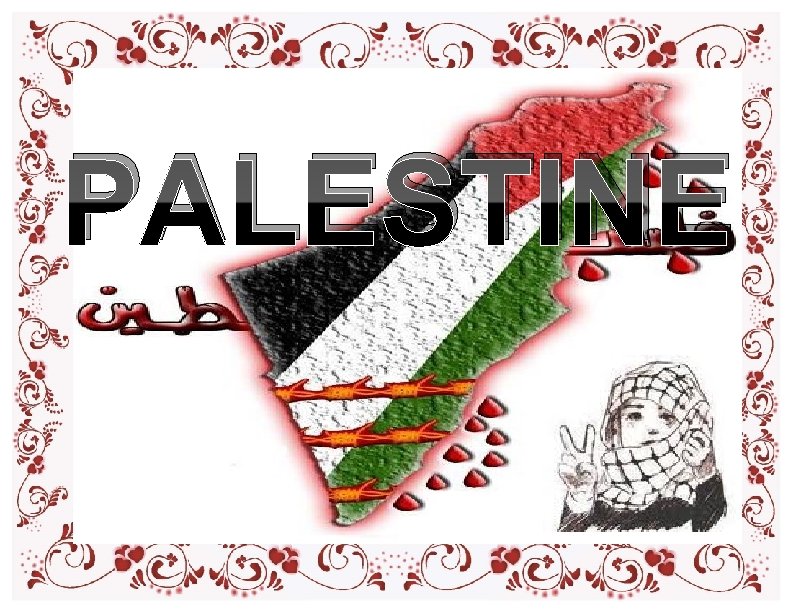 PALESTINE PALESTINE
