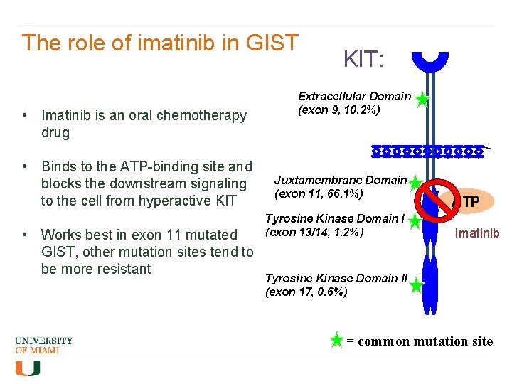 The role of imatinib in GIST • Imatinib is an oral chemotherapy drug •