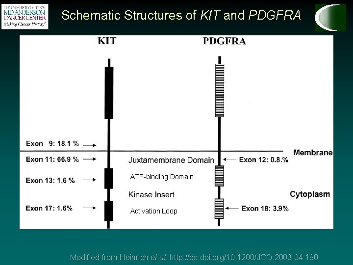 Schematic Structures of KIT and PDGFRA ATP-binding Domain Activation Loop Modified from Heinrich et