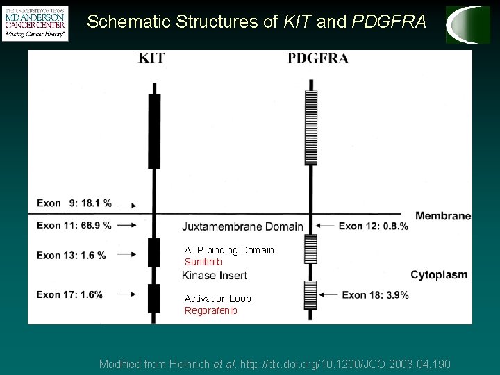 Schematic Structures of KIT and PDGFRA ATP-binding Domain Sunitinib Activation Loop Regorafenib Modified from